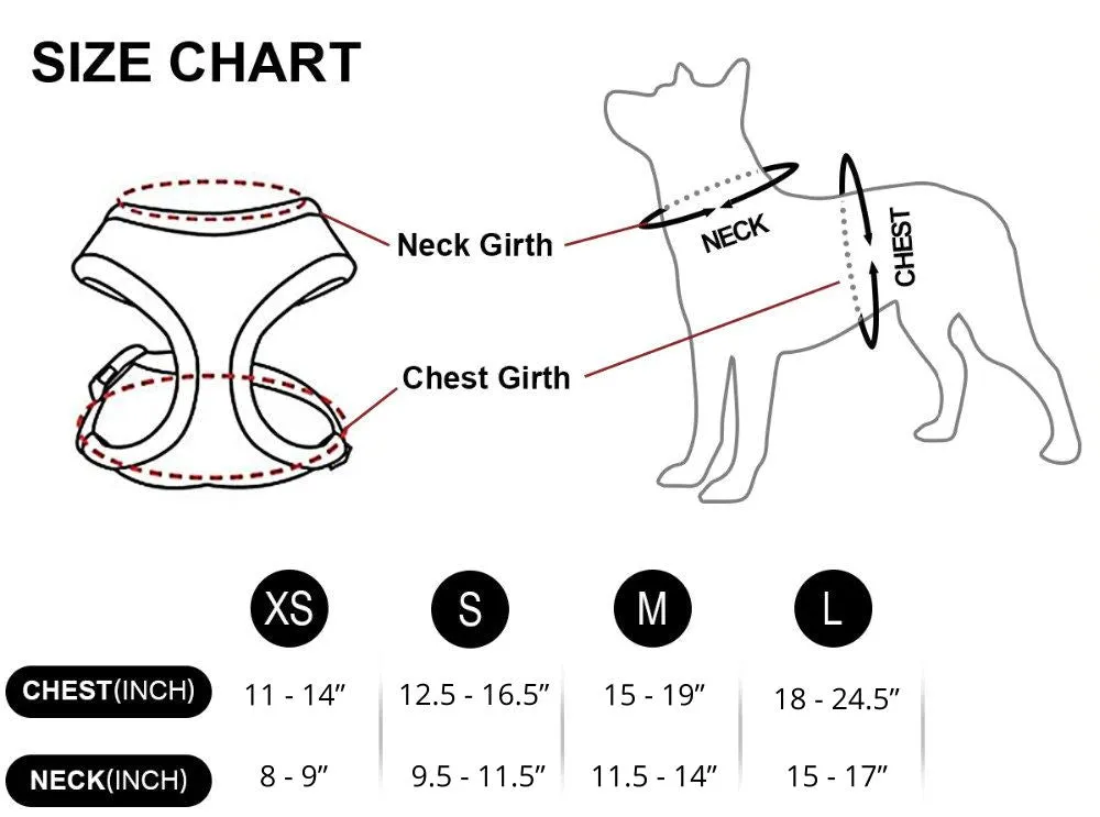 PETLAVISH™ Cute Paw Small Dog Harness: Soft, Breathable, Adjustable Vest XS-L