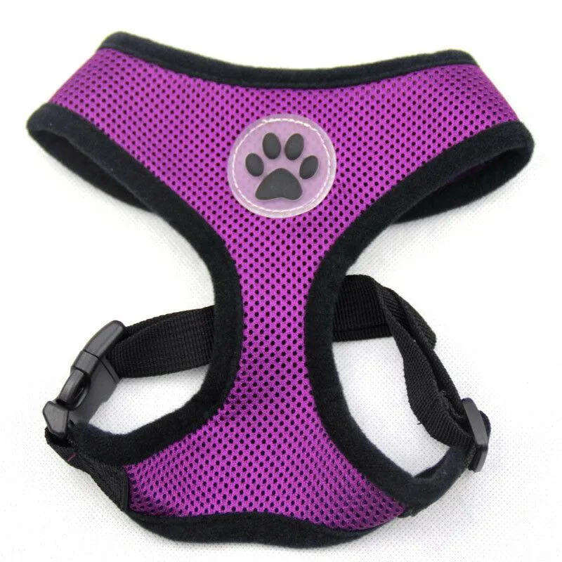 PETLAVISH™ Cute Paw Small Dog Harness: Soft, Breathable, Adjustable Vest XS-L