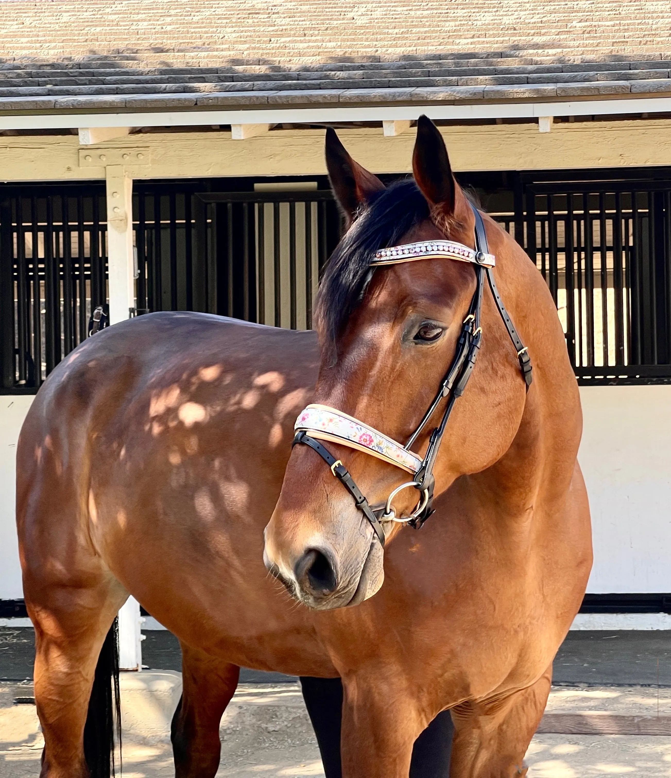 The Dolce Snaffle Bridle