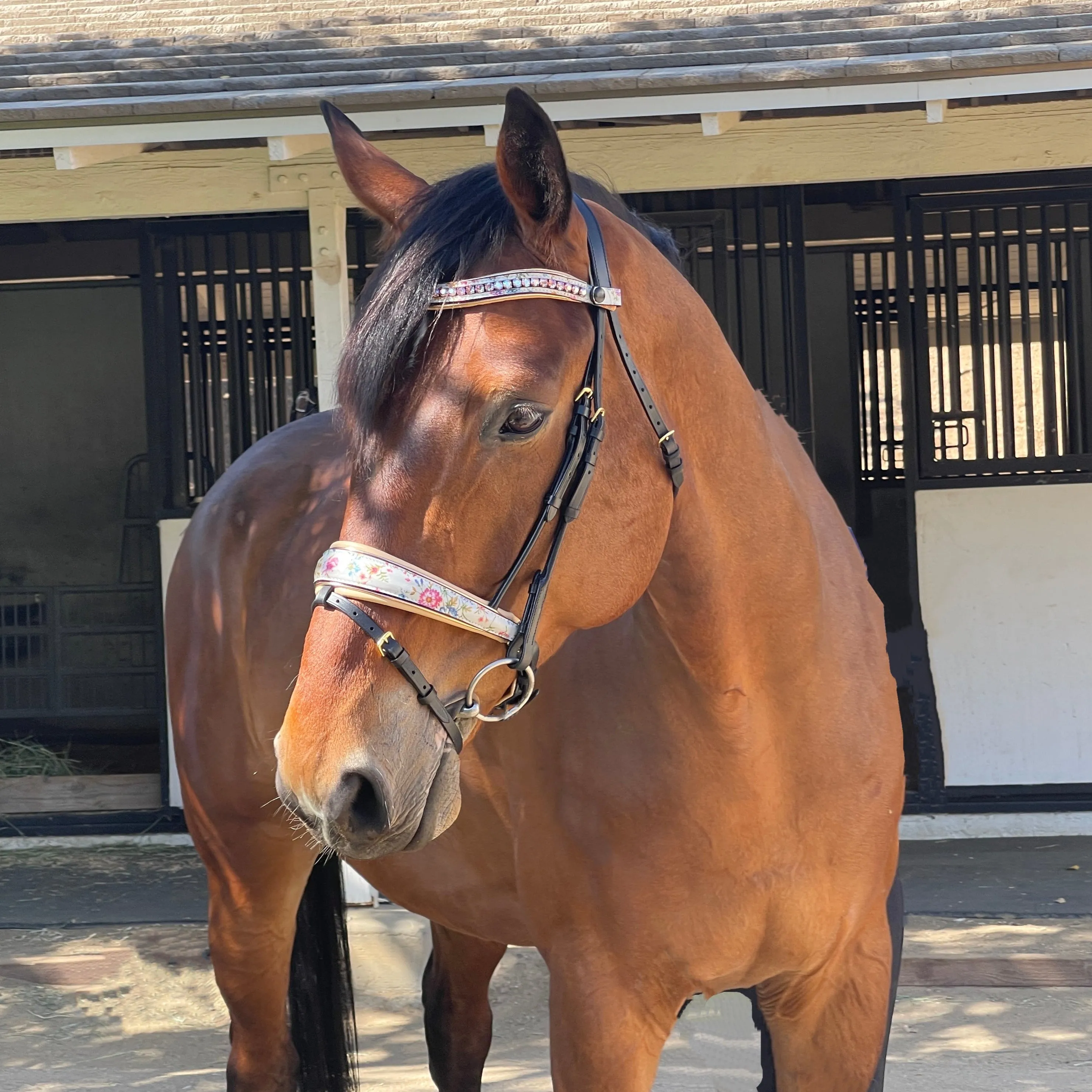 The Dolce Snaffle Bridle