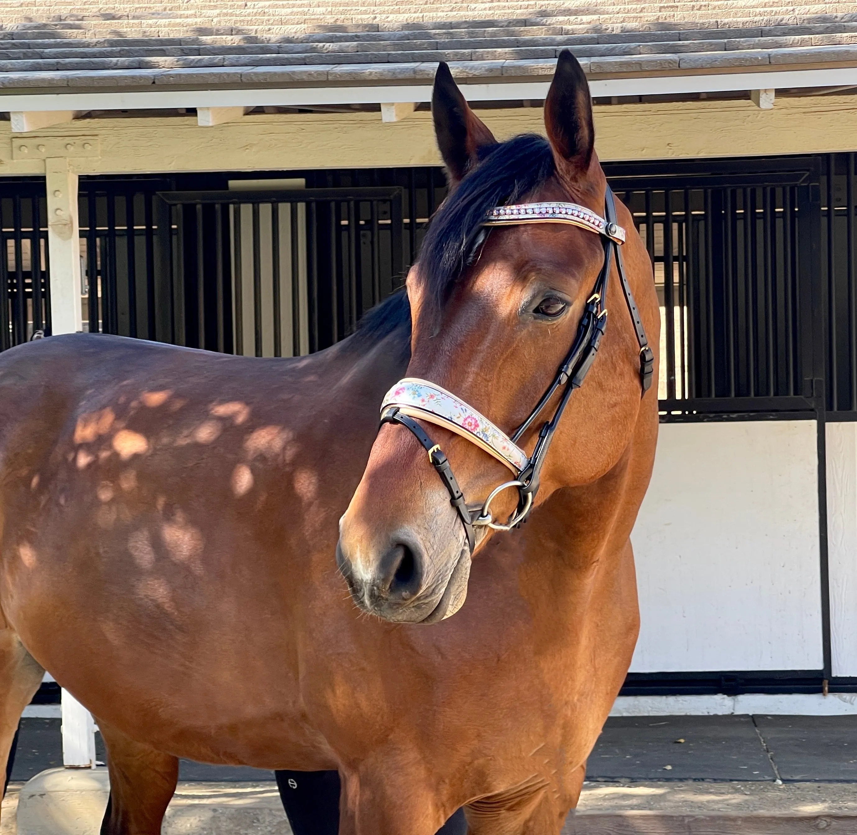 The Dolce Snaffle Bridle