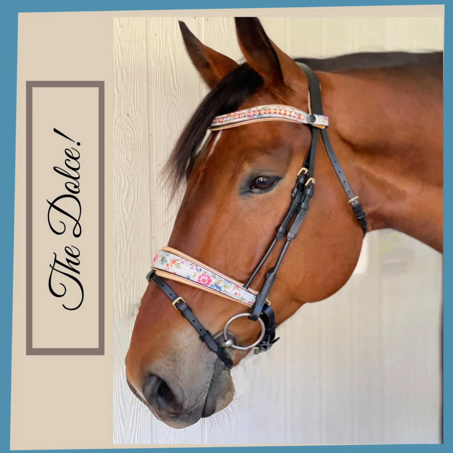 The Dolce Snaffle Bridle