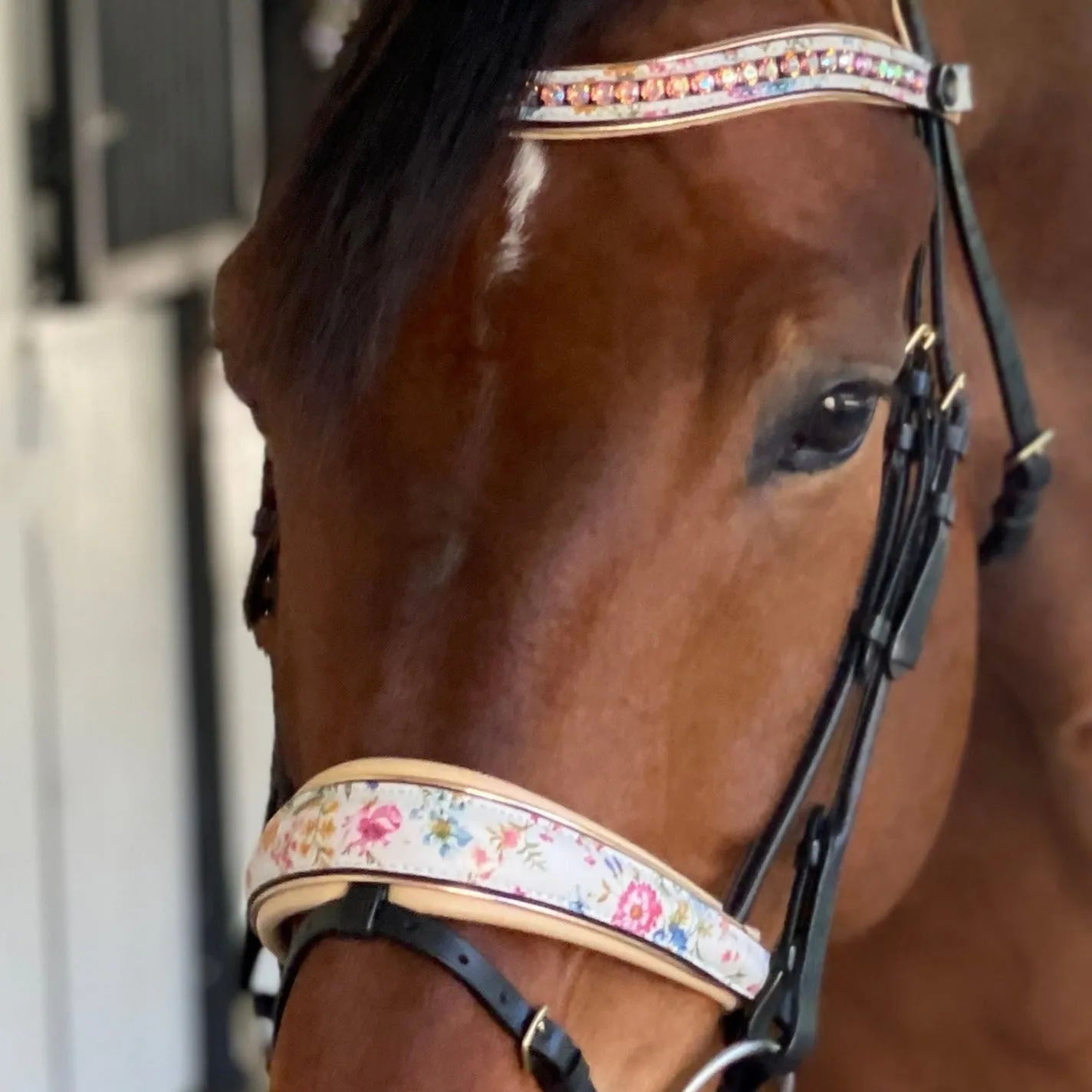 The Dolce Snaffle Bridle